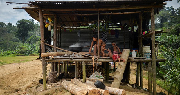 Violence, faim et peur dans les régions isolées de Colombie 