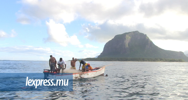 [Vidéo] Ouverture de la pêche à la senne: les pêcheurs restent sur leur faim