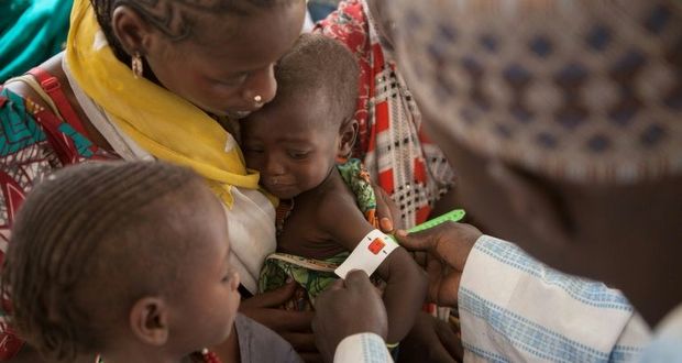 Lac Tchad: 7 millions de personnes menacées par la faim, selon la FAO