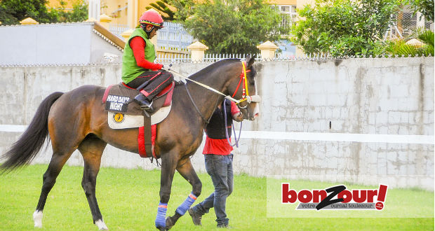  The Quantum anniversary Mauritius Derby Trial Cup: Hard Day's Night veut sa revanche