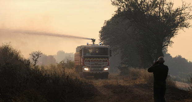 Tunisie: 2.000 hectares partis en fumée dans une centaine de feux de forêt