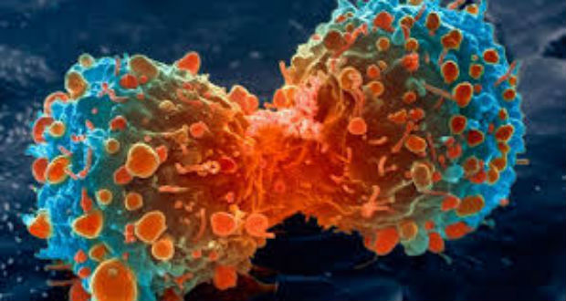 Cancer: «Le dépistage précoce peut vous sauver la vie», insiste Husnoo 