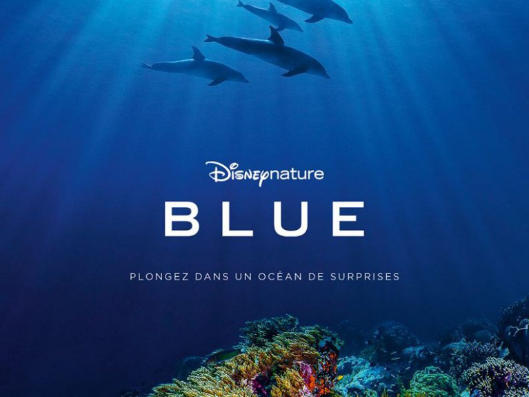 Blue: Plongez dans un océan de surprises