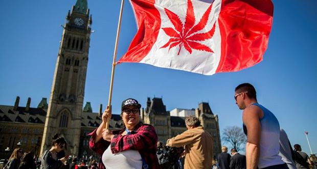 Canada: les députés votent la légalisation du cannabis