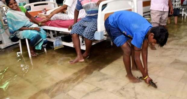 Mousson en Inde: des poissons nagent dans les couloirs à l’hôpital