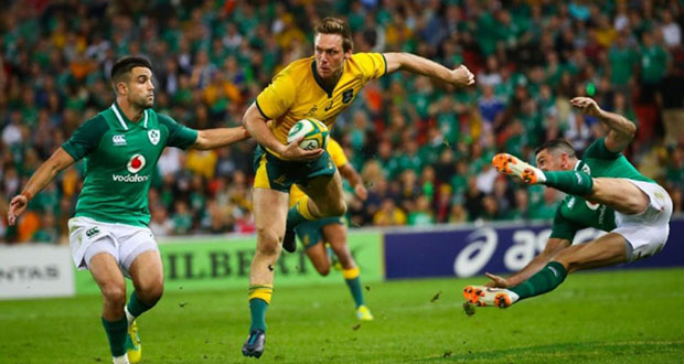 Rugby Championship: l’Australie remanie son XV pour espérer l’emporter face aux Blacks 