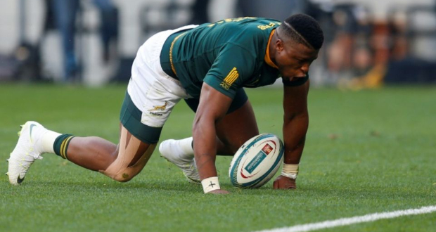 Rugby Championship: l’Afrique du Sud confirme contre l’Australie