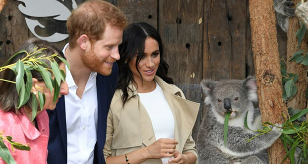 Harry et Meghan à Sydney: cadeaux pour bébé et koalas