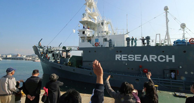 Le Japon va reprendre ouvertement la pêche commerciale à la baleine