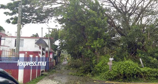 Cyclone Gelena: Rodrigues se remet sur pied