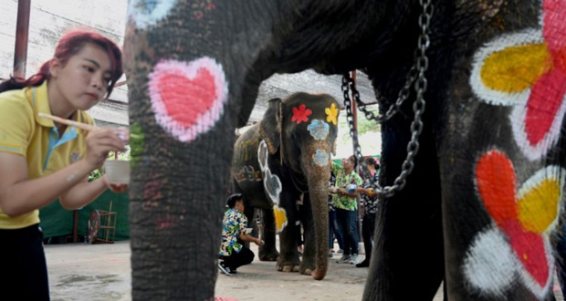 En Thaïlande, des éléphants éclabousseurs pour la fête de l’eau