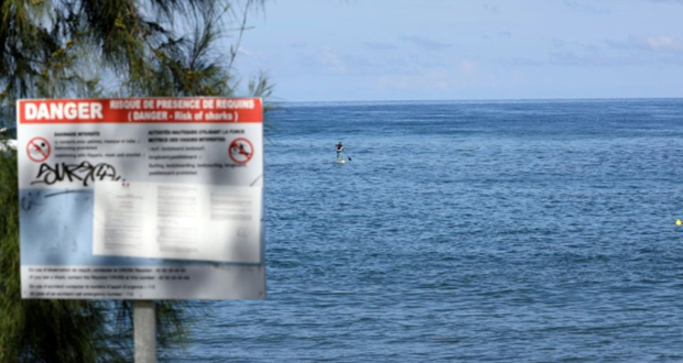 Un surfeur tué par un requin à La Réunion
