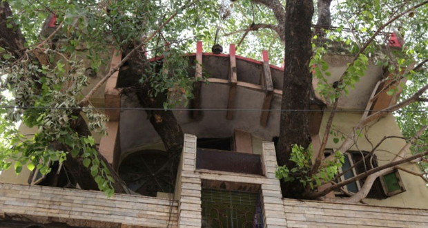 En Inde, une maison construite autour d’un arbre