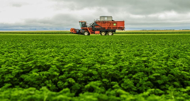 L’OCDE conseille de réorienter les subventions à l’agriculture vers le climat