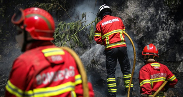 Portugal: plus de mille pompiers luttent contre des feux de forêt