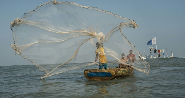 Les stocks de poissons fondent, le Ghana lutte contre la surpêche