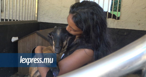 Passion: à 19 ans, Hanifa Timol vit pour les animaux