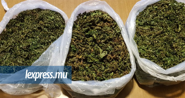 Un demi-kilo de cannabis saisi