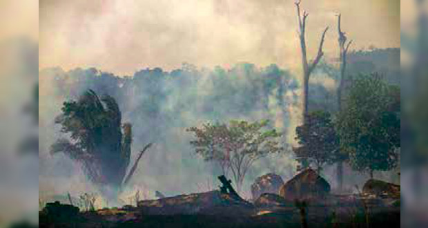 Incendies en Amazonie : «Maurice conscient des risques»