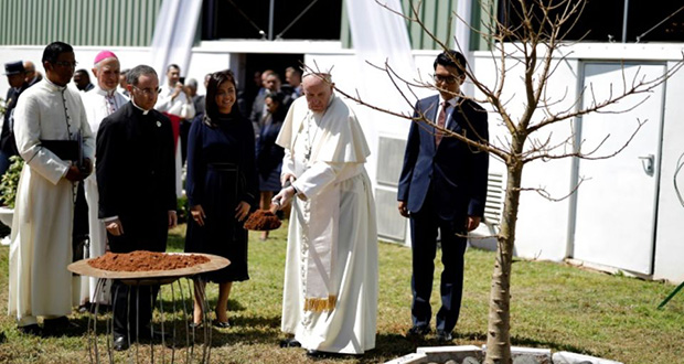 Madagascar: cri d’alarme du pape sur la déforestation