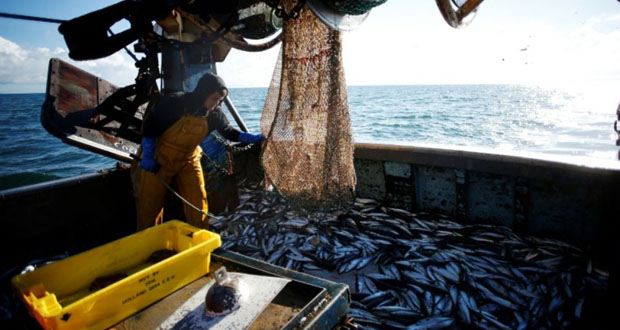 Brexit: les esprits des pêcheurs commencent à s’échauffer