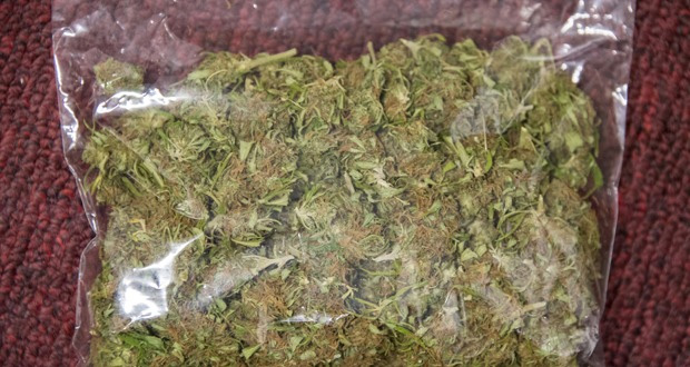 Grand-Gaube: saisie ratée de 3 kg de cannabis 