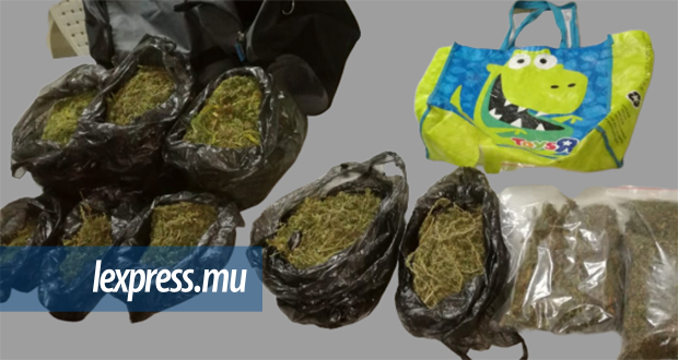 A Trou-aux-Biches: Rs 1, 8 millions de cannabis et plus de Rs 800 000 saisis