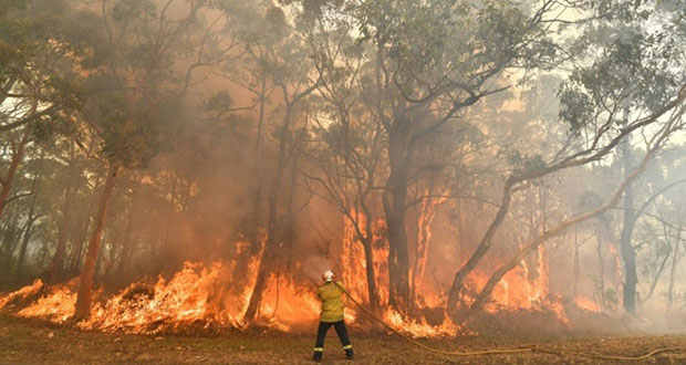 L’Est de l’Australie asphyxié par la fumée des incendies