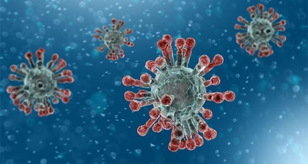 La Réunion: 71 cas de coronavirus 