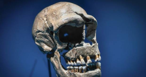 L’ADN hérité de Neandertal peut aggraver des formes de Covid-19