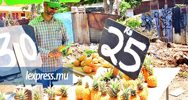 Consommation: planteurs et exportateurs dépassés par la surabondance d’ananas
