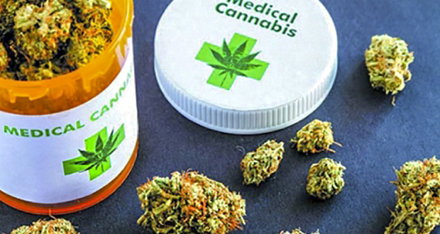 Cannabis médical: le public commence à envoyer des propositions au comité technique
