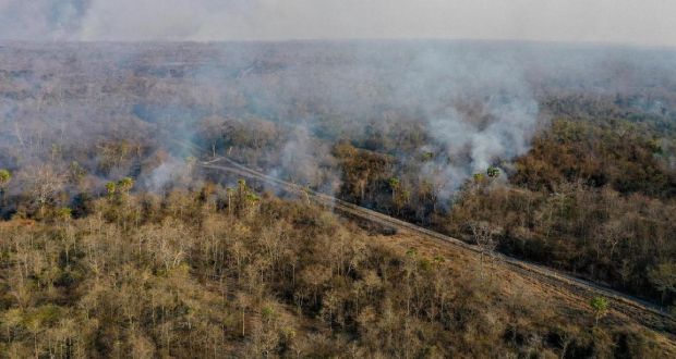 Des incendies criminels dévastent des réserves écologiques en Bolivie