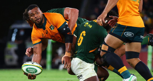 Rugby Championship: nouvelle défaite de l'Afrique du Sud contre une Australie conquérante
