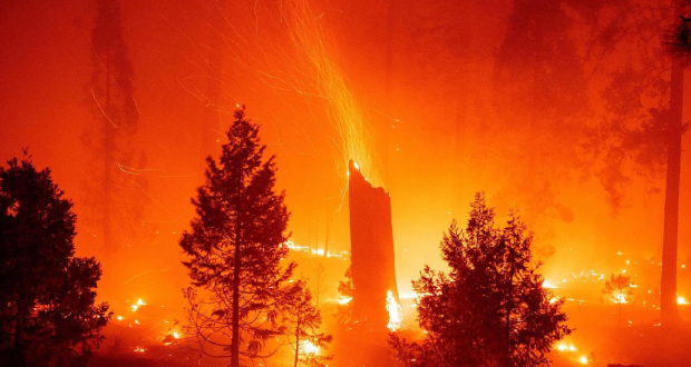 Un père et son fils arrêtés pour un gigantesque feu de forêt cet été en Californie