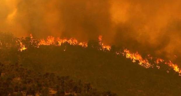 Australie: des feux de brousse menacent la périphérie de Perth
