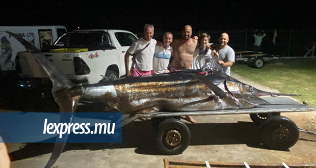 Pêche au gros: un marlin bleu de 1134 livres pris par Johan Vallet et Zoumi Lagane