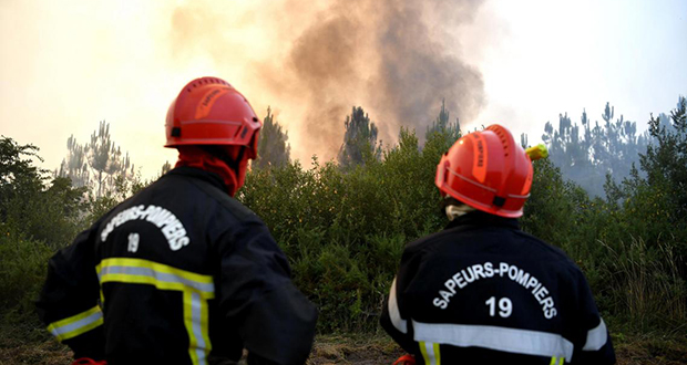 France: plus de 2.000 hectares détruits dans un site naturel en Bretagne