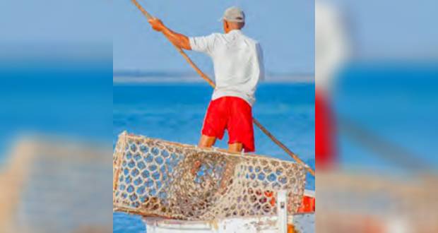 Renouvellement de la carte professionnelle: les pêcheurs âgés au creux de la vague
