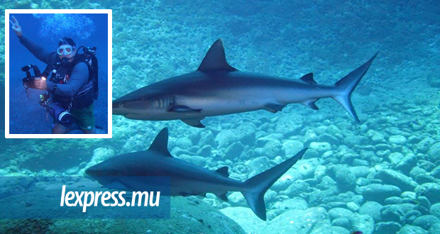 Bernard Perrier, plongeur professionnel: «Pour la plupart des pêcheurs, il faut (hélàs) tuer les requins»