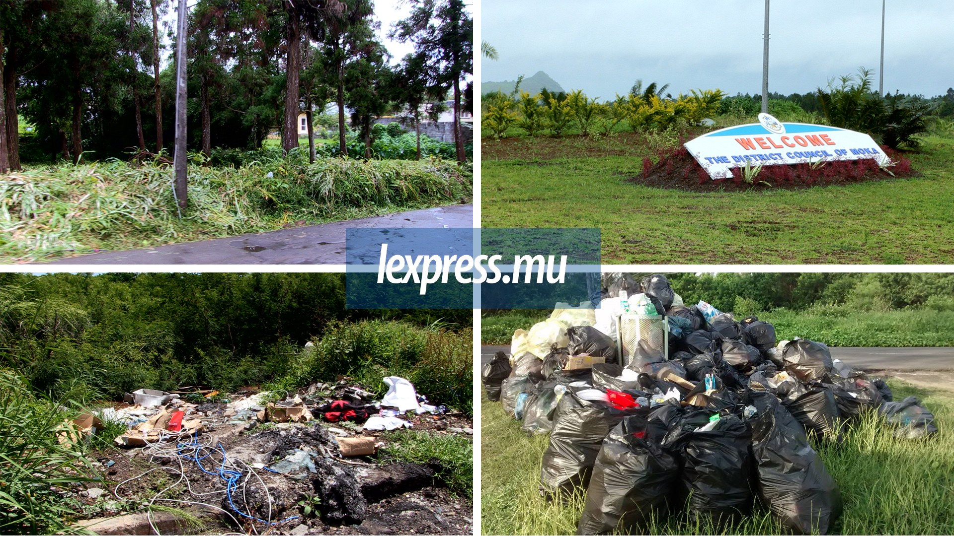«Clean Up Mauritius» : un soutien collectif requis pour nettoyer l’île en entier