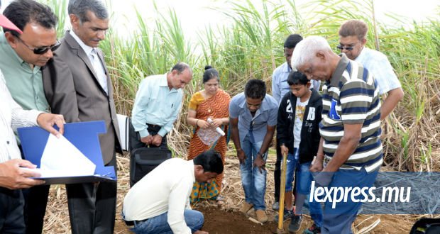 Sunil Bholah: «Augmenter la production de la canne à sucre par arpent»
