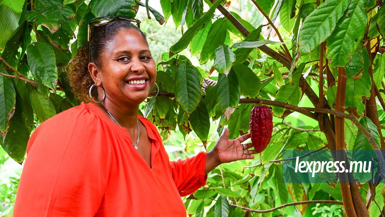 Cacao mauricien: la success story de Gérard et Josiane Cangy
