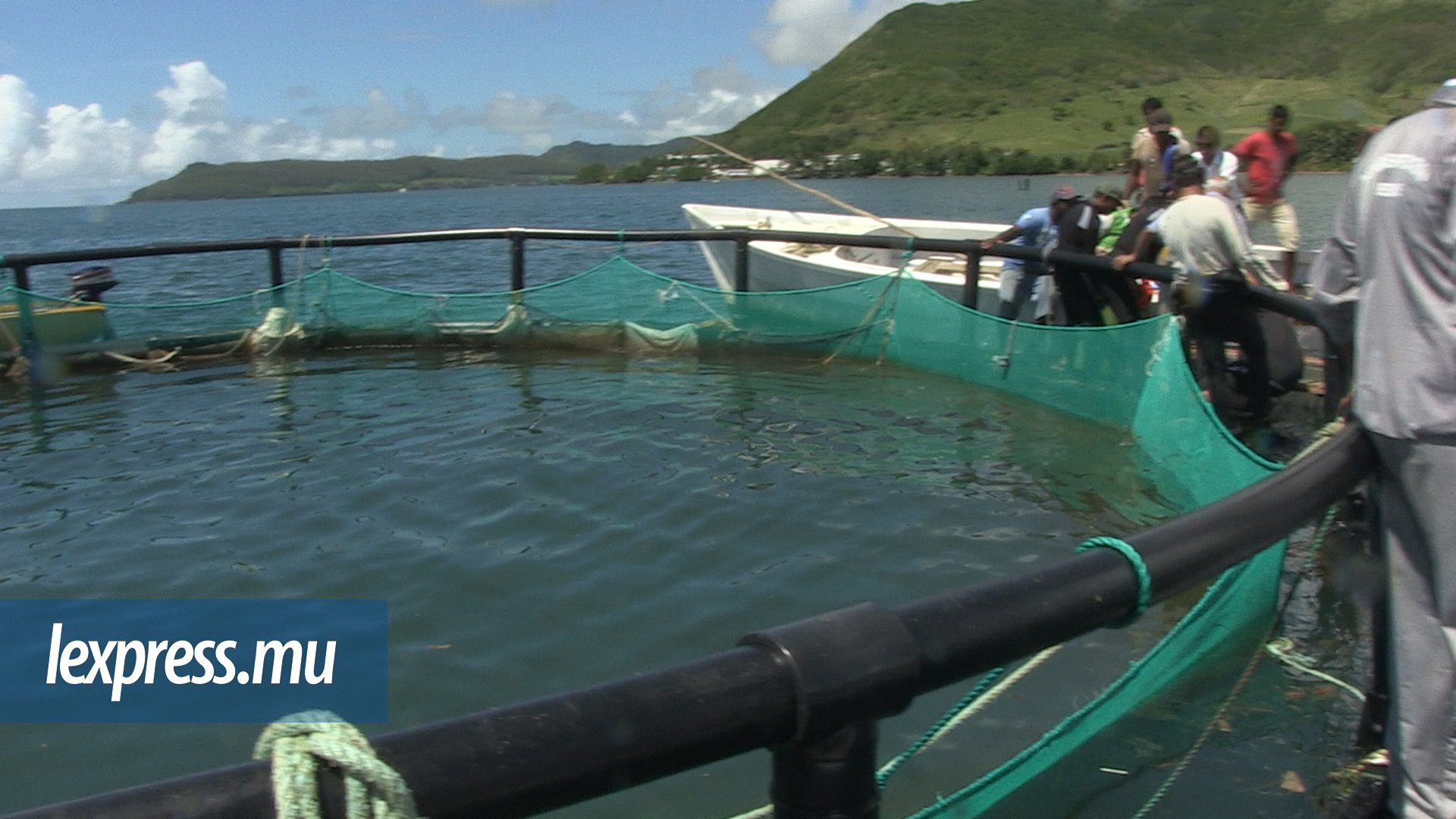 Aquaculture: «Pena rékin parski rekin kontan propté», dit Prem Koonjoo