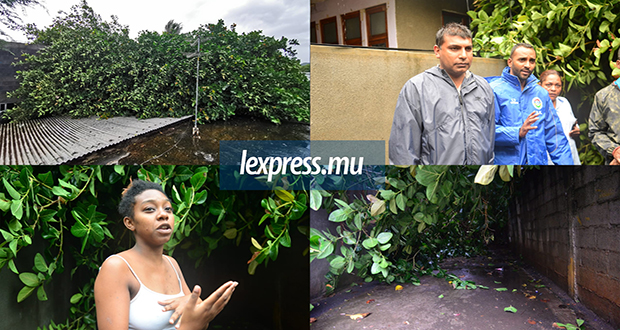 Chute d’arbre à Roche-Bois: trois maisons endommagées 